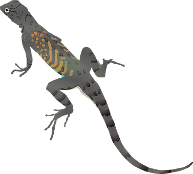 Lizard Gecko Dragon Animal Cartoon Reptile - Desert Lizard Clipart (377x340)