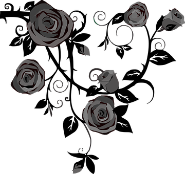 Roses Flowers Gray Black Floral Beauty Lov - Poems For Valentines Day Short (360x340)