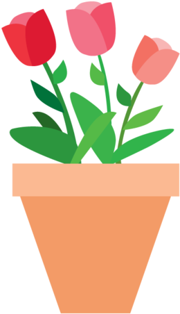 Ants Hate Walking On Salt - Sprenger's Tulip (314x480)