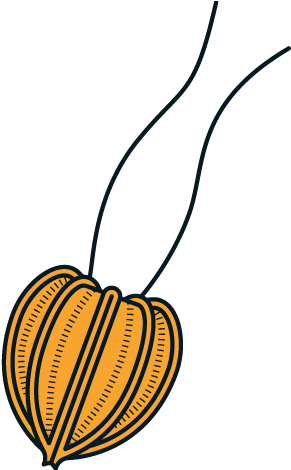 10 Mm - 10 Mm (469x469)