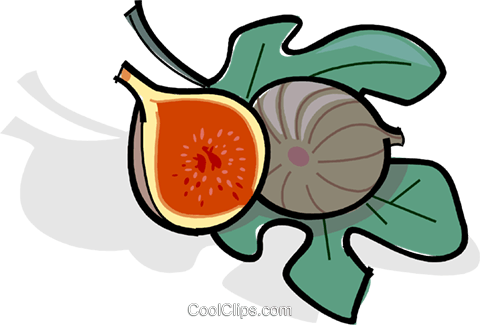 Figs Royalty Free Vector Clip Art Illustration - Figs Royalty Free Vector Clip Art Illustration (480x325)