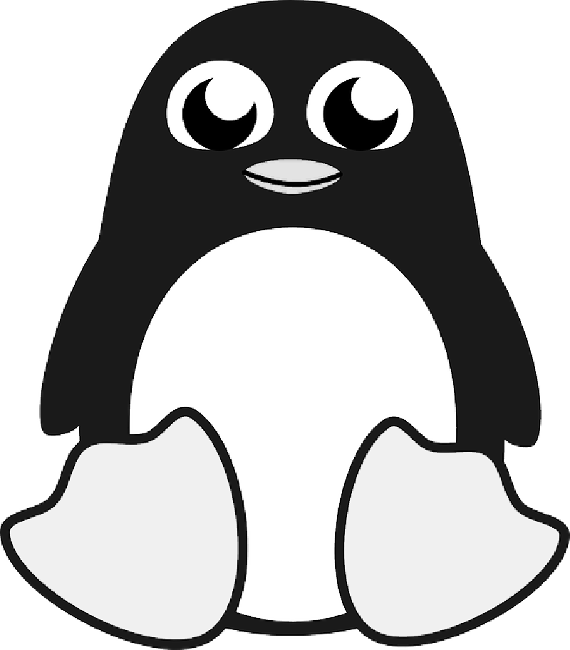 Cute - Penguin Clip Art (800x912)
