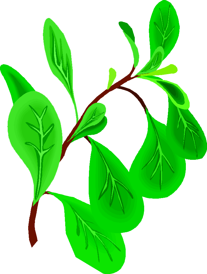 Fruits Clip Art, Fruit Clipart, Fruit Clipart Images, - Oregano Animada (705x931)