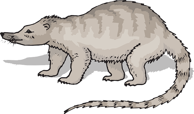 Fur Gray, Art, Animal, Tail, Fur - Gray (640x378)