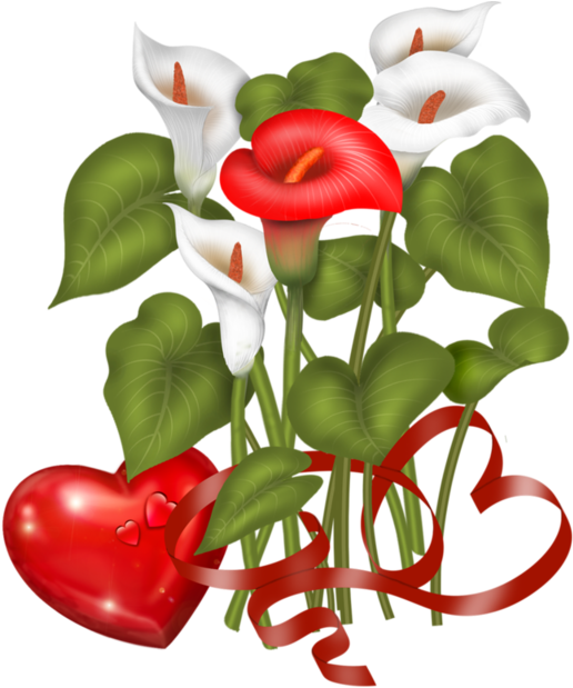 Giant White Arum Lily (600x638)