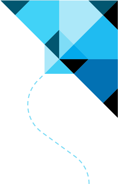 Professional Affiliations - Blue Kite Png (600x605)