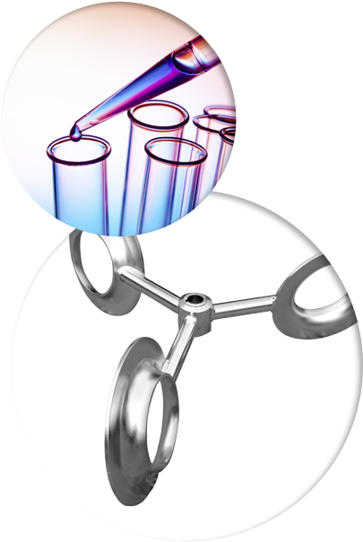 Compliant, Flexible And Efficient - Regulyatsiya Proteoliza Rastitel'nymi I Zhivotnymi (435x620)