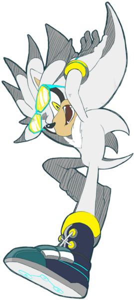 Copper Wire Set Overnight In A Silver-nitrate Solution - Silver The Hedgehog Sonic Riders (500x667)