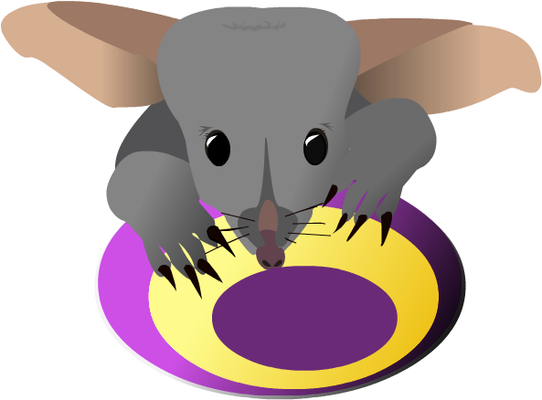 Swap The Bunny For The Bilby This Easter - Rabbit (603x453)