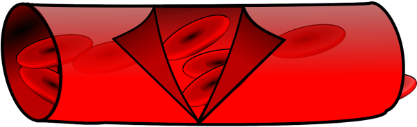 Do You Often Worry That You Might Not Be Getting The - Blood Vessel (600x300)