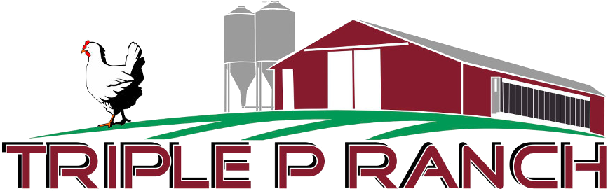 Triple P Logo - Triple P Logo (872x303)