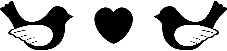 Couple Bird Black And White (960x480)