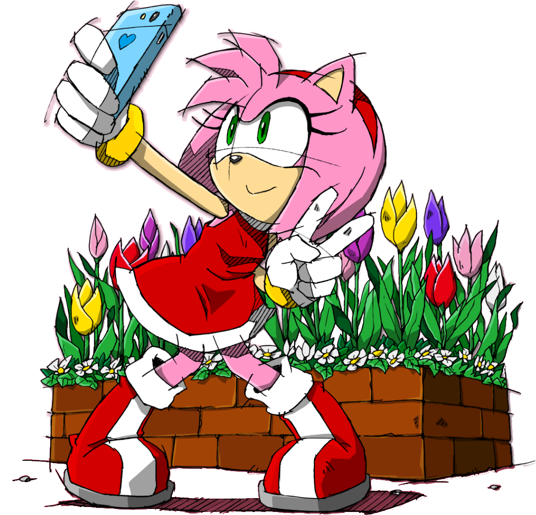 View Samegoogleiqdbsaucenao 00 , - Amy Rose Sonic Adventure (1092x1096)