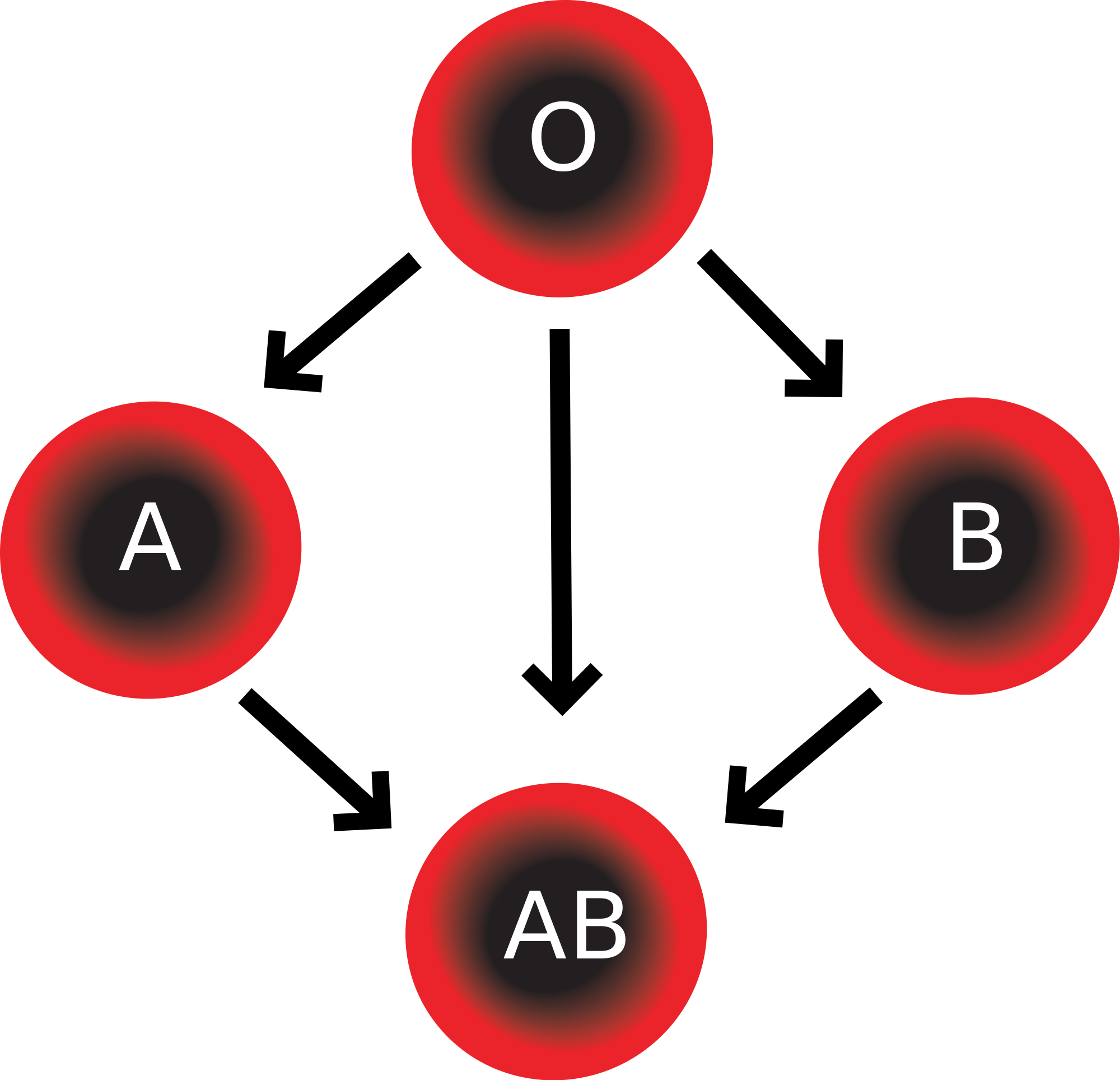 Wikipedia, The Free Encyclopedia - Abo Blood Group System (2000x1928)