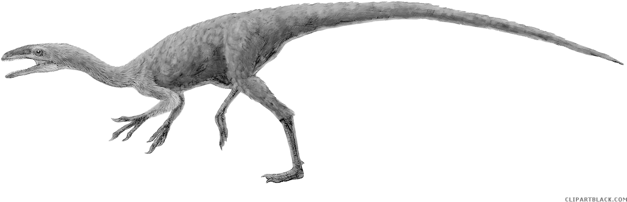 Dinosaur Animal Free Black White Clipart Images Clipartblack - Coelurosauria (1280x494)