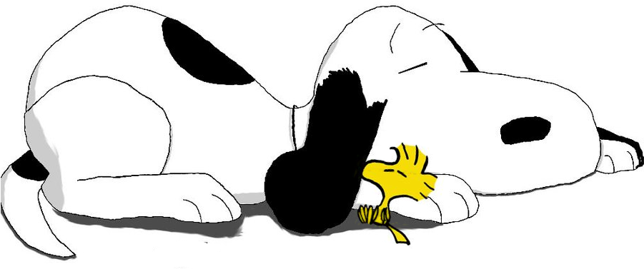 Snoopy And Woodstock Are Sleeping By Bradsnoopy97 - Sketch (900x523)