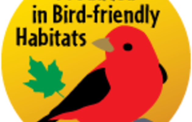 Maple Sugarbush Bird Walk - Maple Sugarbush Bird Walk (630x401)