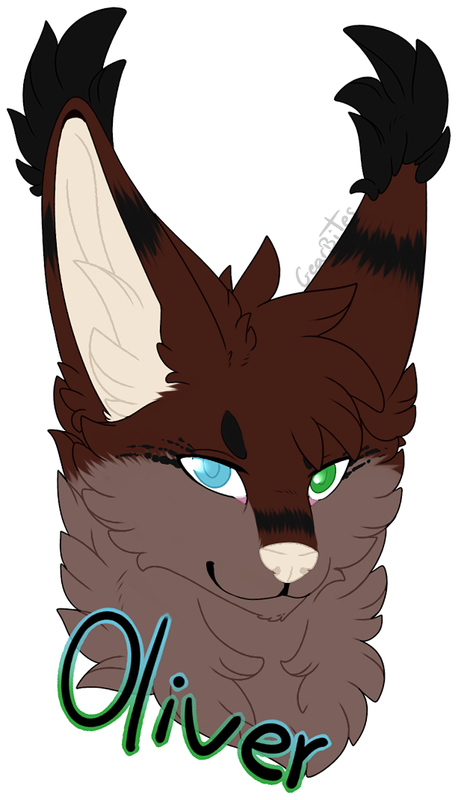 And Later Released Into A Forest Habitat To See How - Cartoon (458x800)