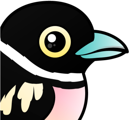 Is A Small Species Of Broadbill Found In Parts Of Southeast - Coraciiformes (440x440)