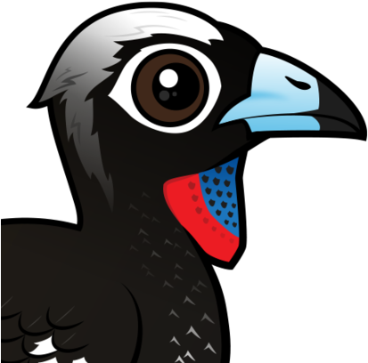 The Black-fronted Piping Guan Is A Large Bird Found - Hornbill (440x440)