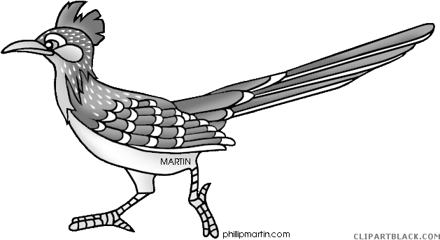 Roadrunner Animal Free Black White Clipart Images Clipartblack - New Mexico State Bird (648x377)