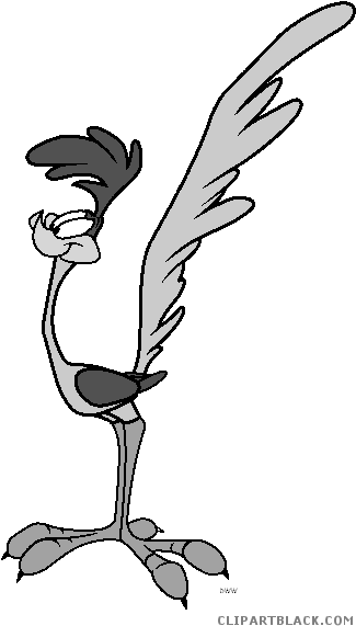 Roadrunner Animal Free Black White Clipart Images Clipartblack - Roadrunner Cartoon (338x583)