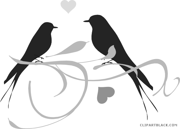 Love Birds Animal Free Black White Clipart Images Clipartblack - Clip Art Love Birds (600x432)
