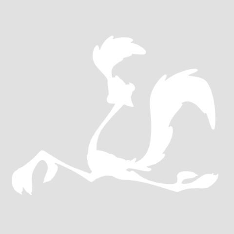 Coventry Digital Marketing Seo Amp Ppc Agency - Wile E Coyote (480x480)