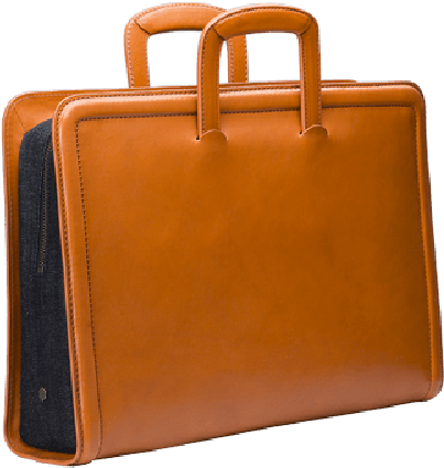 Ro Bags - Briefcase (500x500)