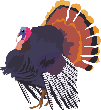 Download Turkey Clip Art ~ Free Clipart Of Turkeys - Realistic Cartoon Turkey (390x423)