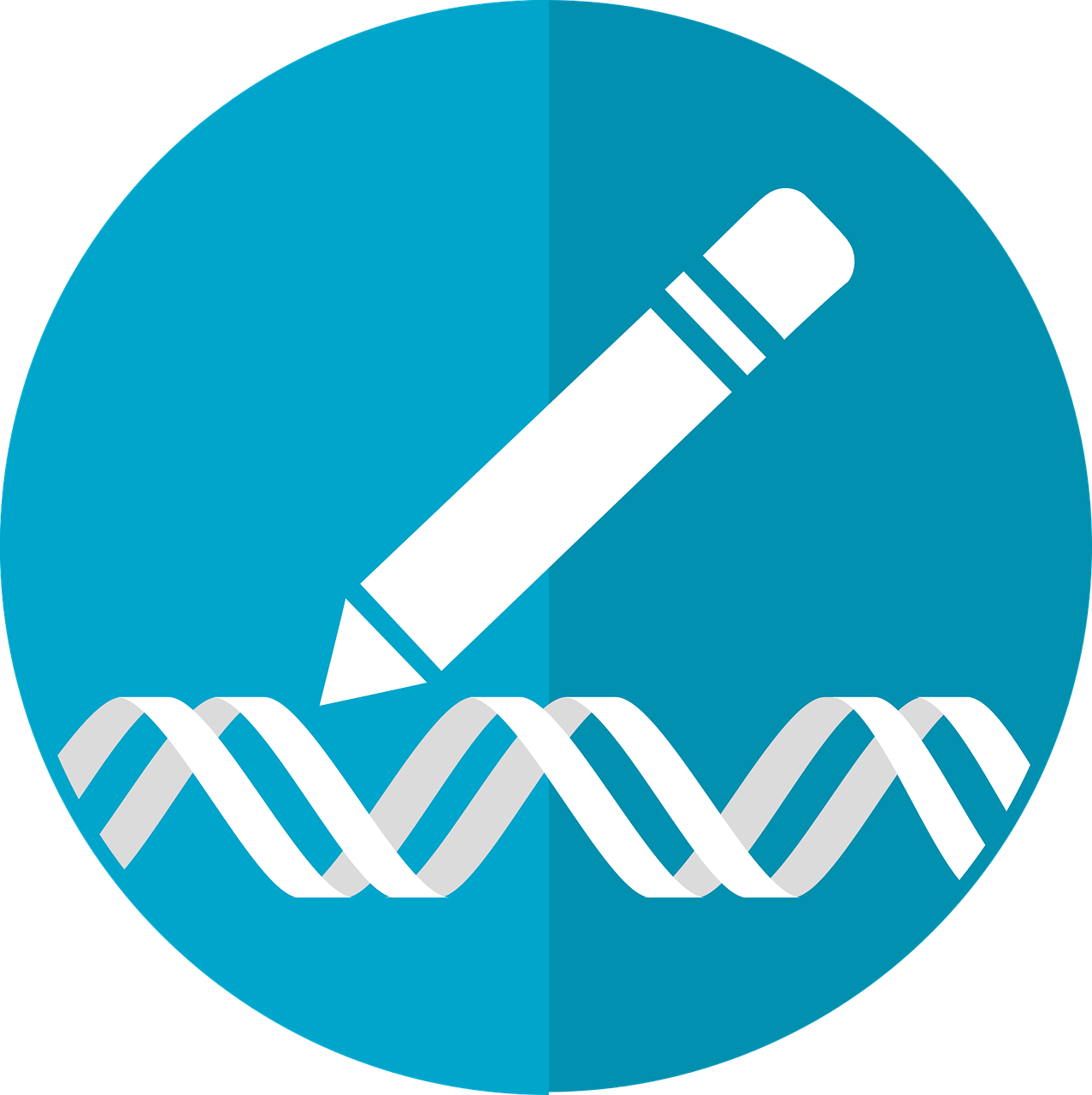 Genome Editing, Metaphors And Language Choices - Gene Editing Icon (1277x1280)
