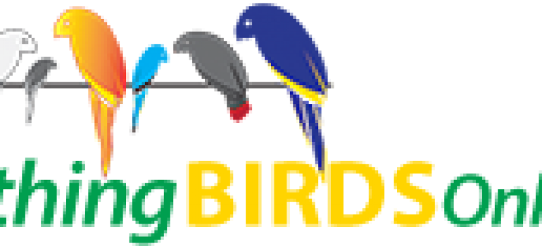 Pipetechs Plumbing Technologies Llc. (770x350)