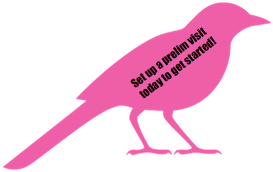 Squawk And Howl (544x367)