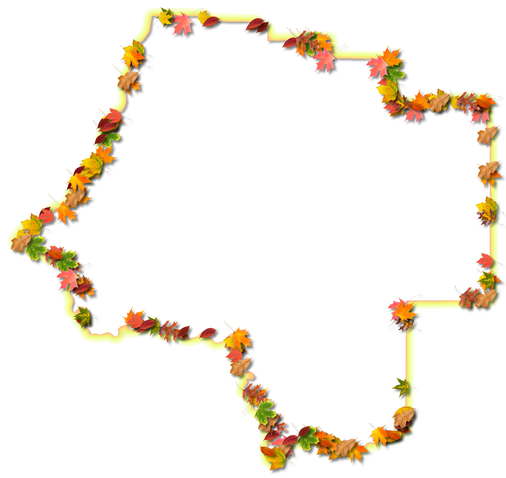 A Yellow And Orange Outline Map Of Levy With Fall Leaves - Floral Design (1024x966)