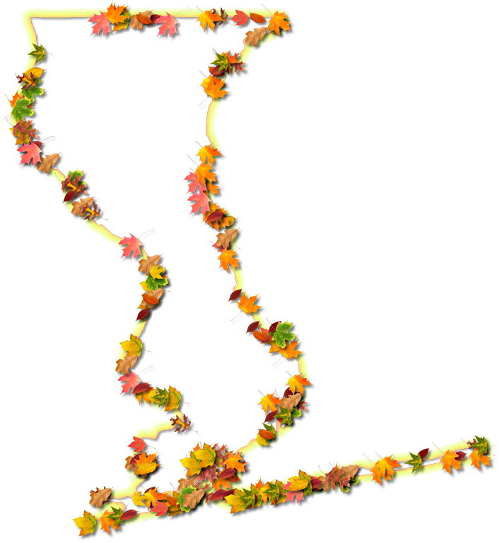 A Yellow And Orange Outline Map Of Escambia With Fall - Number (947x1024)