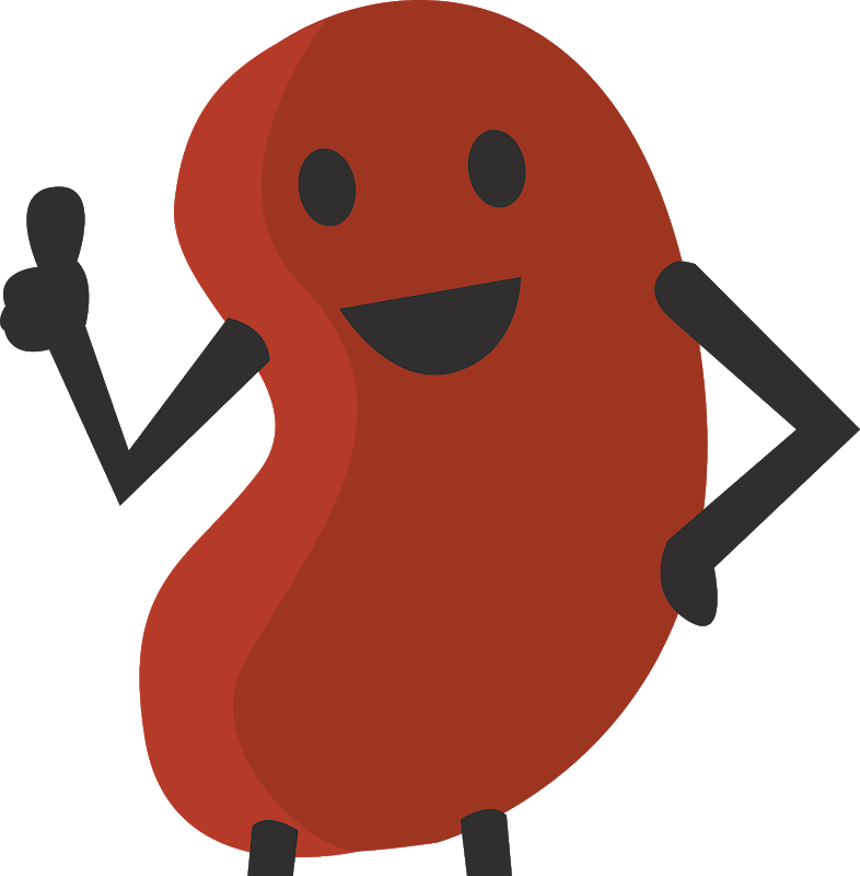 Kidney Clip Art (786x800)