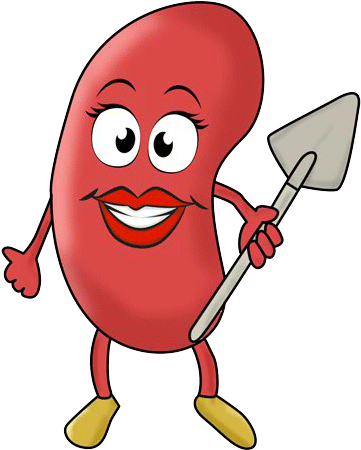 Next - United States Of America (475x475)