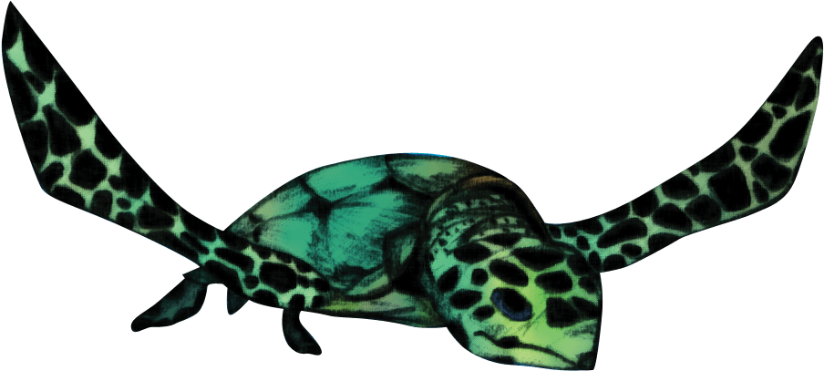 About The Conference Image - Turtle (1060x499)