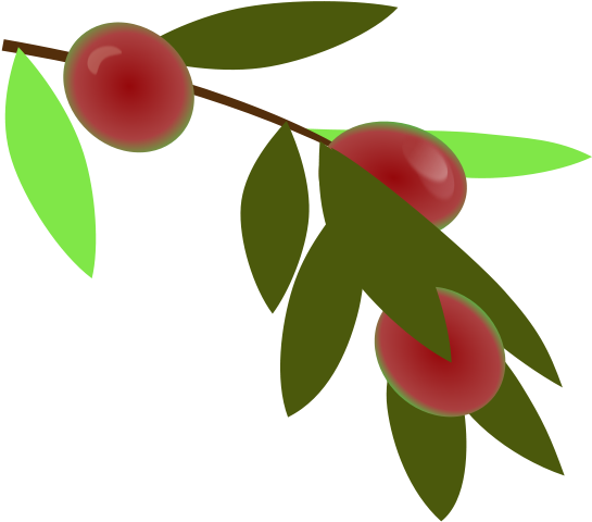 Get Notified Of Exclusive Freebies - Plant (849x1200)