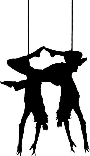 Performer Artists, Show, Circus, Performer - Trapeze Silhouette Png (371x640)