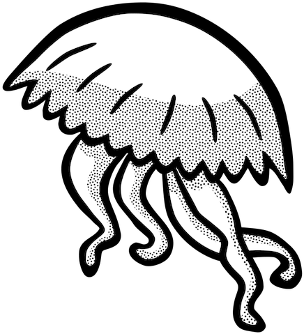 11 Free Jellyfish Clipart Public Domain Vectors Rh - Gambar Ubur Ubur Vektor (483x500)