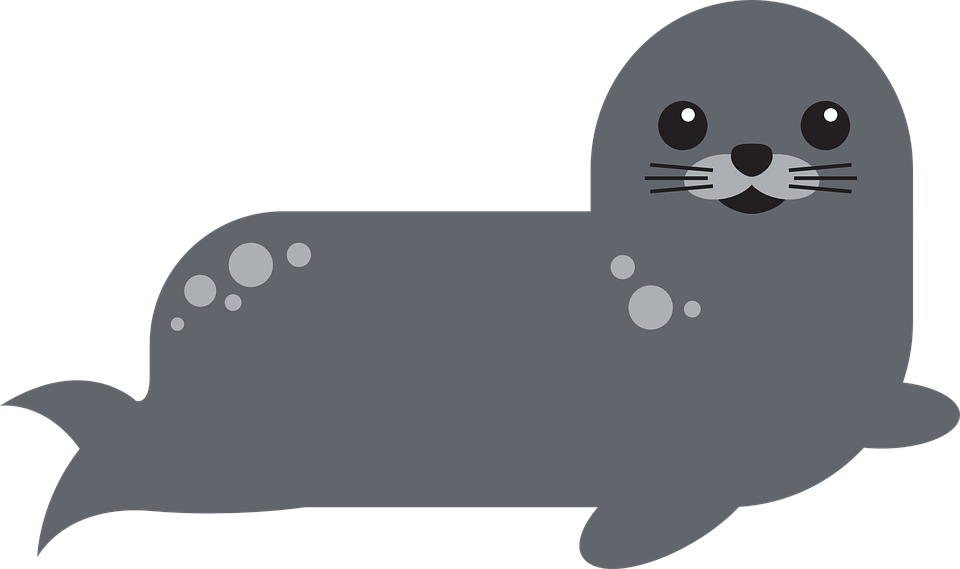 Cute Cartoon Seals 7, - Cartoon Seal Png (960x569)