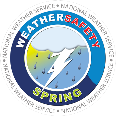 How To Survive An Emp Attack To The Grid %& - Spring Weather Safety (820x820)