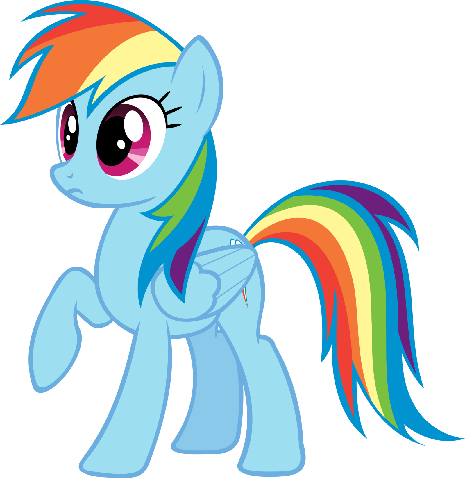 Rainbow Dash - Rainbow Dash Season (1600x1648)