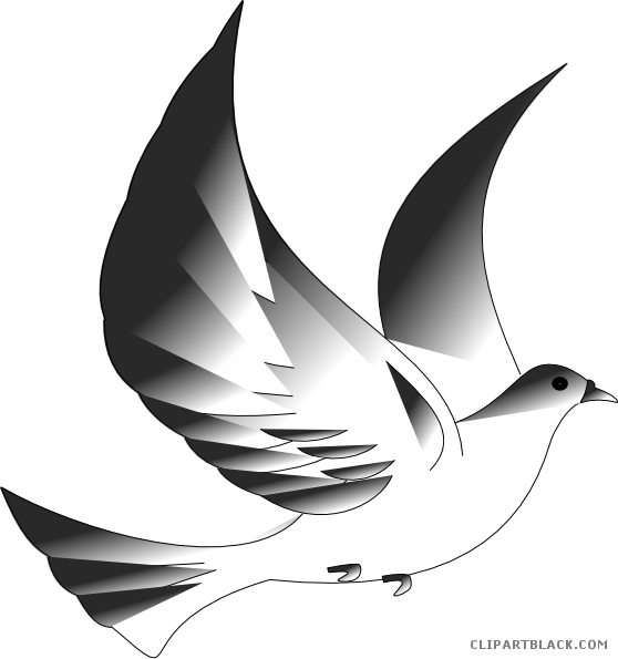 Dove Animal Free Black White Clipart Images Clipartblack - Free Catholic Clip Art Confirmation (558x595)
