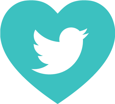 Stay In Touch - Kongpao Twitter Logo Pillow Case & Insert Throw (384x384)