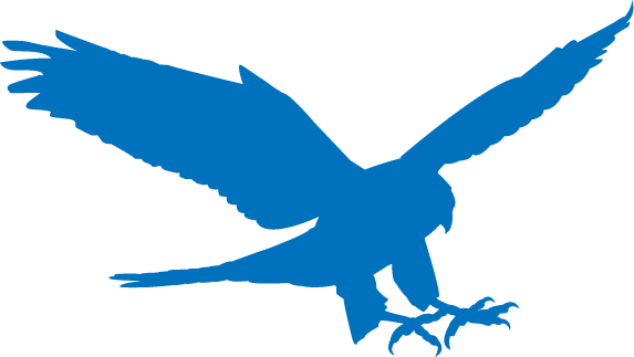 Picture Of The Cosmic Falcon Logo - Hawk (573x323)