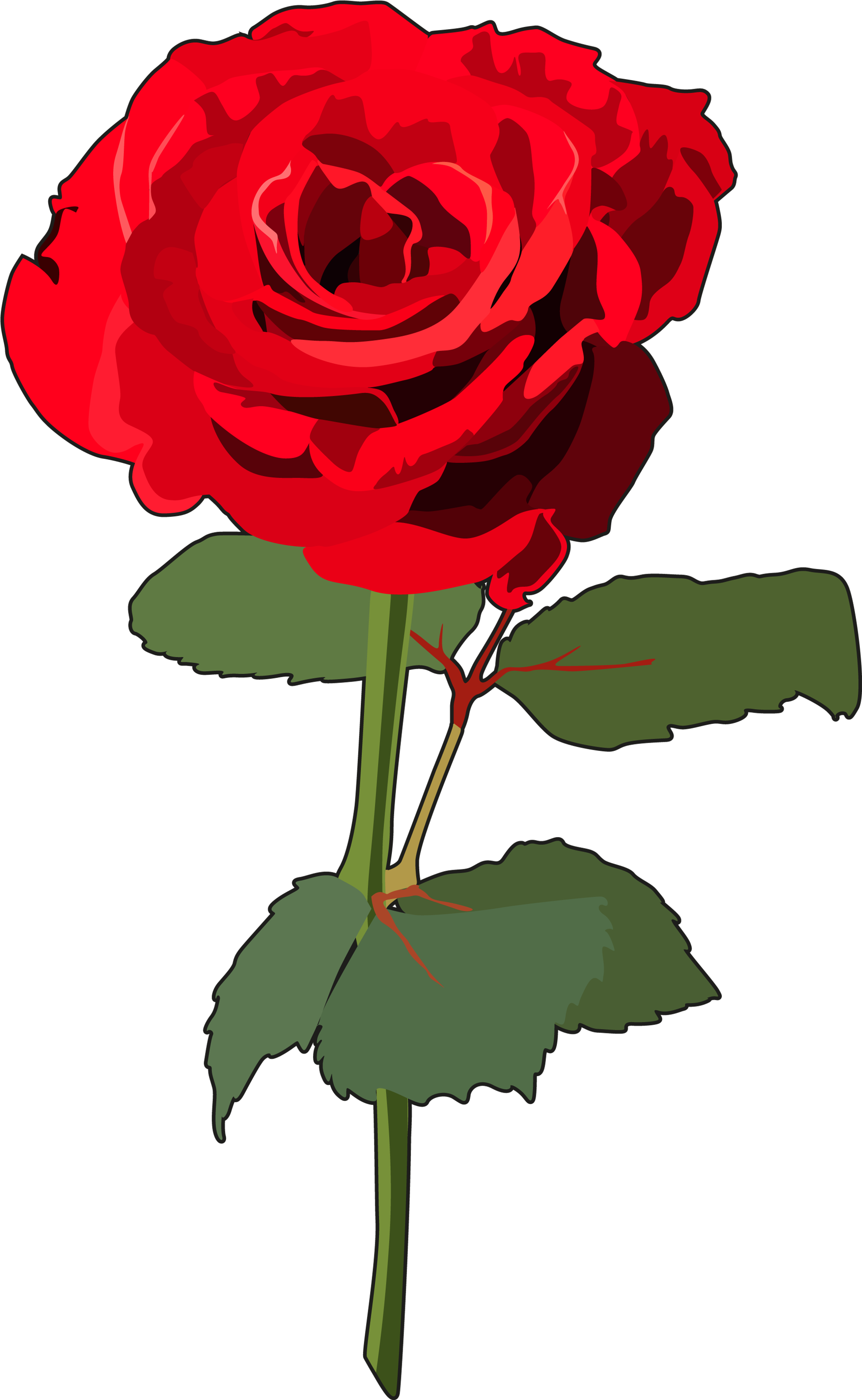 Flores » Recursos Educativos Digitales - Ilustracion De Rosas Png (2480x3508)