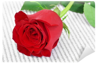 Carta Da Parati Rosa Rossa E Il Libro, Per Saint Georges - Catalonia (400x400)