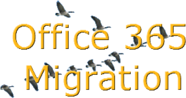 Office 365 Migration - Bird Migration (400x319)